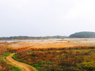 landscape with river
