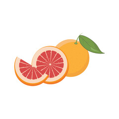 Grapefruit, vitamin C source. Dietetic, vegetarian and healthy  food composition. Trendy vector illustration, isolated on white. Good for web and print