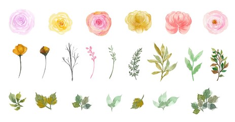 Set of gorgeous individual watercolor flowers and leaves collection