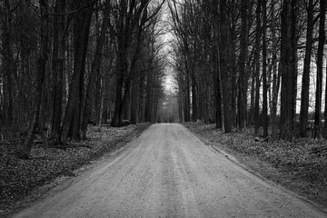Lonely stretch of dirt road in Michigan
