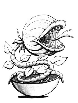 Venus flytrap, black and white linear art. Freehand drawing.