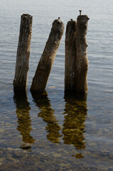 old wooden piers in water