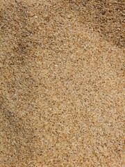 Close up of yellow sand grains on Australian beach