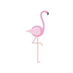 Naklejka premium flamingo bird cartoon