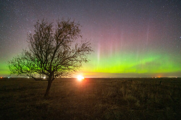 Stunning Aurora Borealis, Northern Lights display in rural farm field, inspirational beautiful landsape background and night sky wallpaper