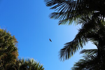 Key Biscayne - Florida
By Rio