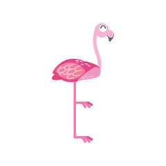 flamingo tropical animal