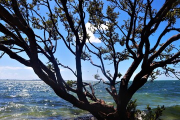 Key Biscayne - Florida
By Rio