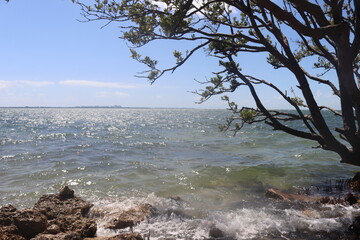 Key Biscayne - Florida
By Rio