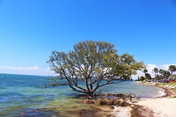 Key Biscayne - Florida
By Rio