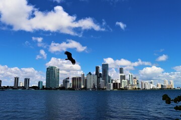 Brickell - Miami 
By Rio