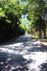 Key Biscayne - Florida
By Rio