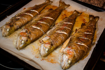 Oven baked trout with seasonings. Four whole fish on the baking sheet, ready to eat. Cooking at home