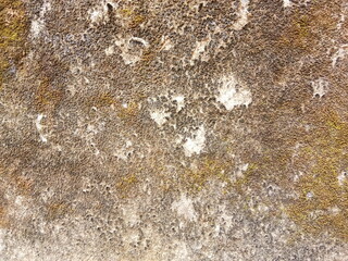 texture of stone