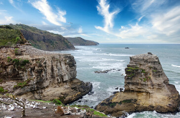 Jagged coastline of New Zealand with ocean and birds