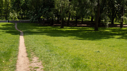 An empty footpath next to a large lawn in a park on a warm sunny day