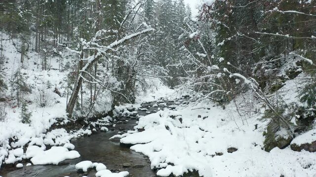 Jib up over small creek running through snow covered forest