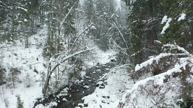 High Jib up over small creek running through snow covered forest