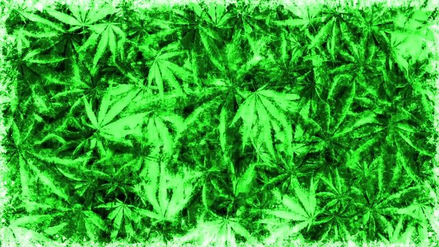 Marijuana Grunge 001011 - Lovely grunge the background is drawn from vector and rasterized cannabis leaf. Chaotic is spinning and moving with glitch - they create a surreal mesmerizing animation.
