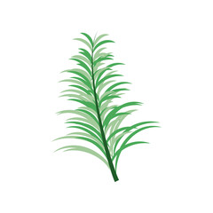 tropical branch foliage