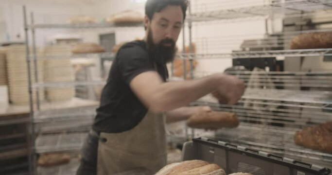 Busy Bearded male baker wearing apron in bakery packing bread for delivery