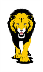 lion illustration