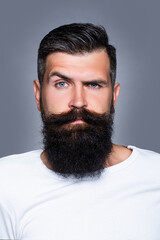 Obraz premium Handsome bearded man with long lush beard and moustacheon grey background.