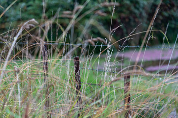 close up of rusty farm fence