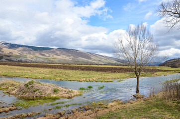 A lone tree in a field. A flooded field surrounded by mountains in the spring. River in nature.