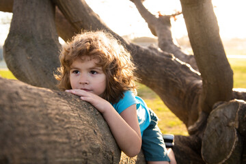 Cute caucasian kid boy happily lying in a tree hugging a big branch. Child climbing a tree.