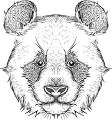 illustration of a panda