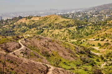 Hollywood hills with curving hiking paths and the city of Los Angeles CA in the background