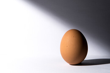 Single brown chicken egg isolated on white background.  Shadow and light play.