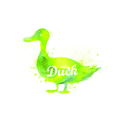 illustration of animals