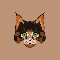 cat vector