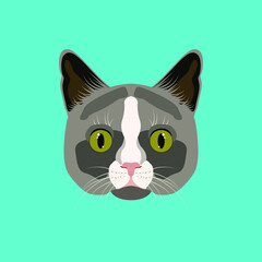 cat vector