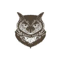 black and white wolf