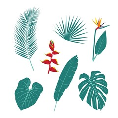 A set of unusual tropical plants, leaves and flowers. The plant world. Vector illustration on a white background