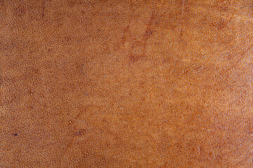leather grunge background: an old piece of tough camel skin, with scuffs, spots, scars
