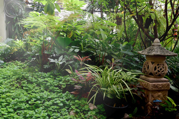 A shady garden covered with green trees shining for design and decoration in garden.