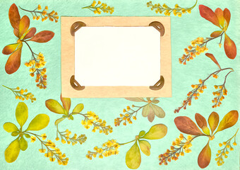 Page from old photo album. Barberry flowers in watercolor style. For texture, wrapper pattern or greeting, card, postcards. Digital painting-illustration. Watercolor drawing. Scrapbooking element