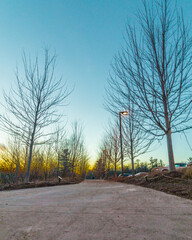 road in the park at sunset