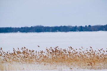 Scenic view of the regional county of Argenteuil in Quebec 