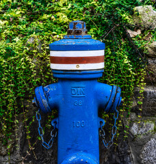 Blauer Hydrant