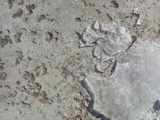 The texture of gray stone concrete. Cured cement mortar close-up.