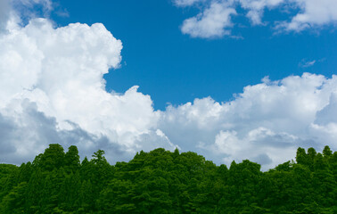 Blue sky, clouds and forest. 青空と雲と森