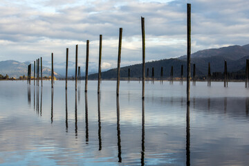Wood pilings in the Pend Oreille RIver in October in Cusick, Washington.