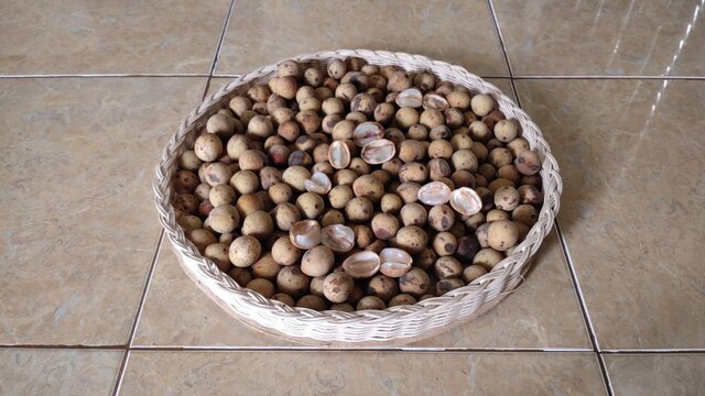 Duku Bilder Durchsuchen 1,216 Archivfotos, und Videos