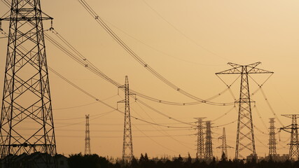 The electronic cranes erupted over the ripe rice farm land in autumn with the sunset sunlight
