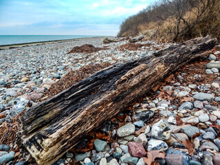 fence on the beach